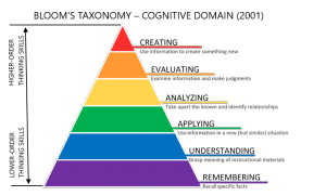 pyrgamid graph of blooms taxonomy